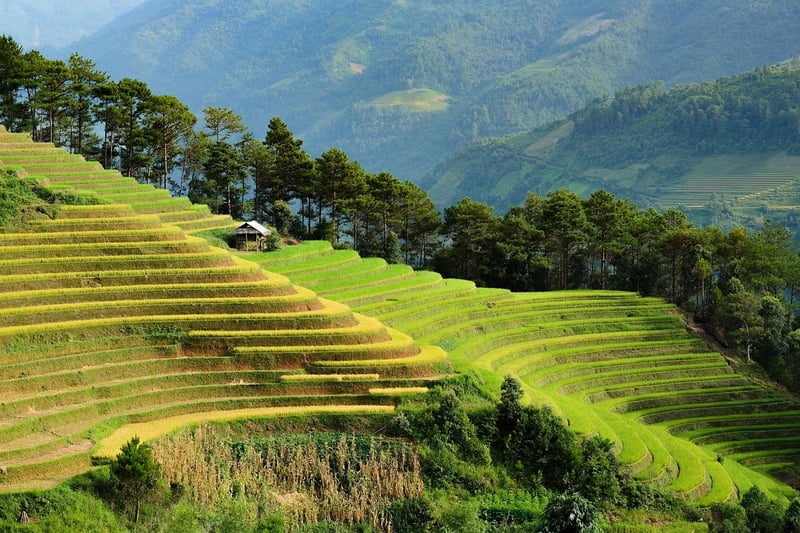 Eco-Tourism Adventures